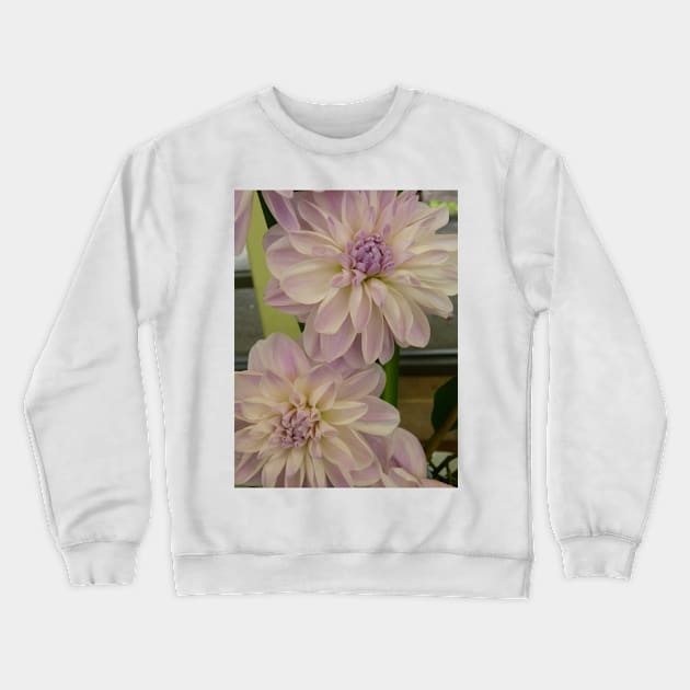 Dahlia #8 Crewneck Sweatshirt by Sarah Curtiss